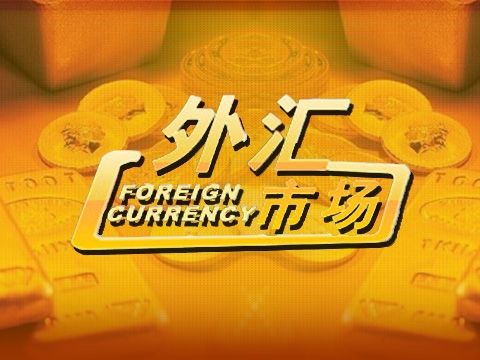 炒外汇半年赚30万