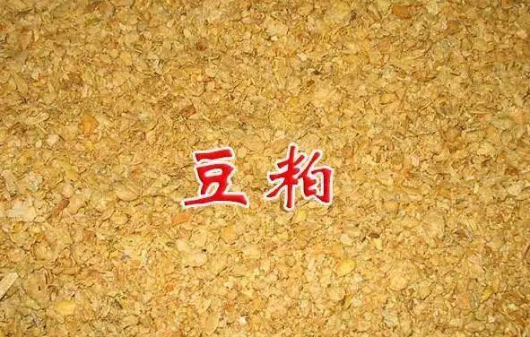 豆粕和菜粕合理的价差是多少？